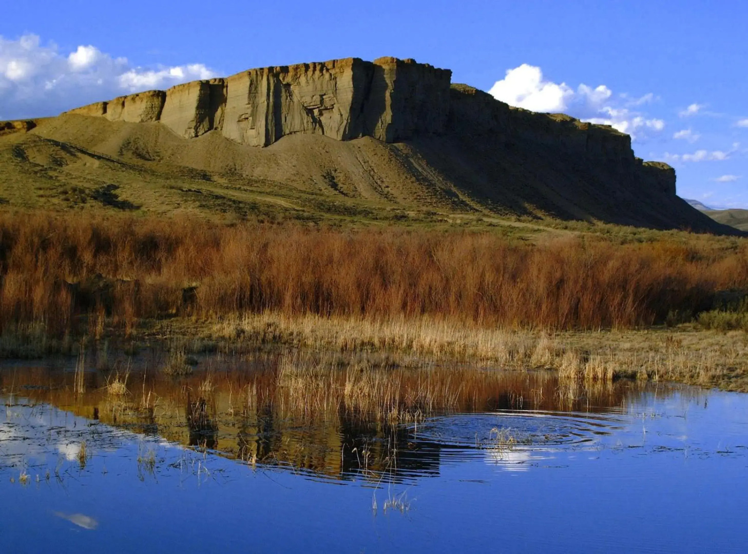 Allington Inn & Suites