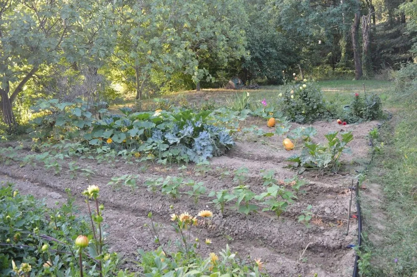 Rectora de Castellar