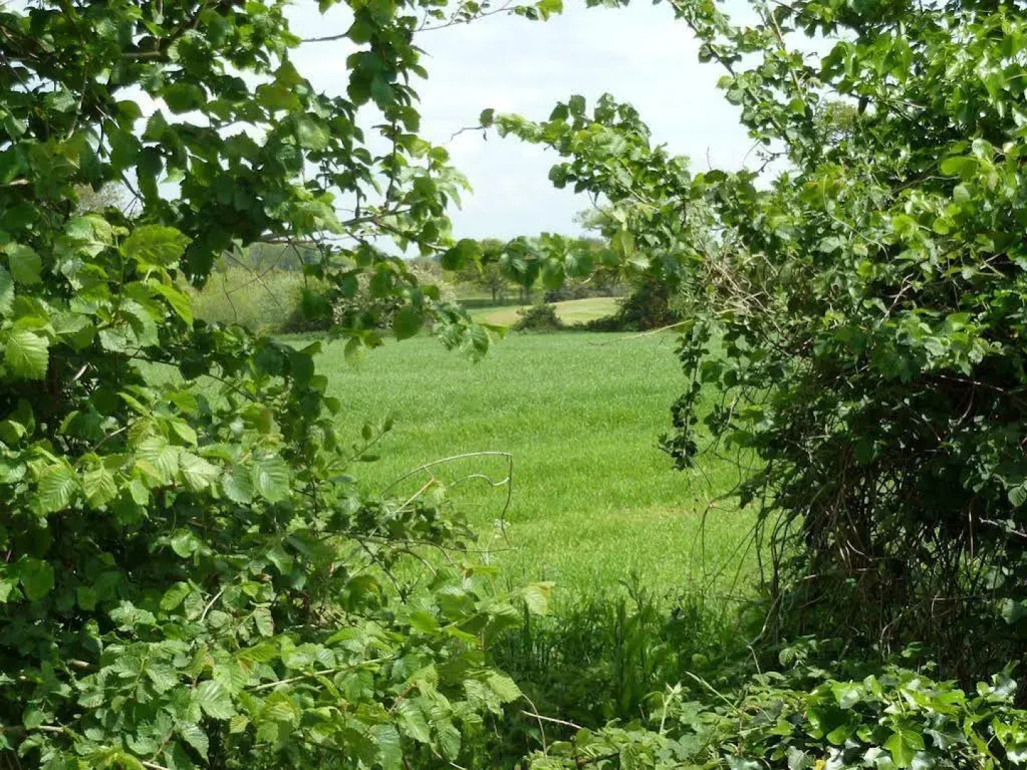 Hunston Mill Self Catering Cottages