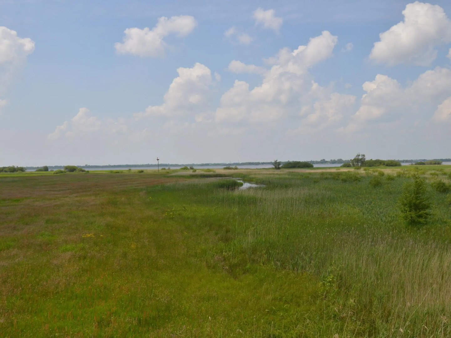 Modern Holiday Home in Kollumerland c.a with Private Garden