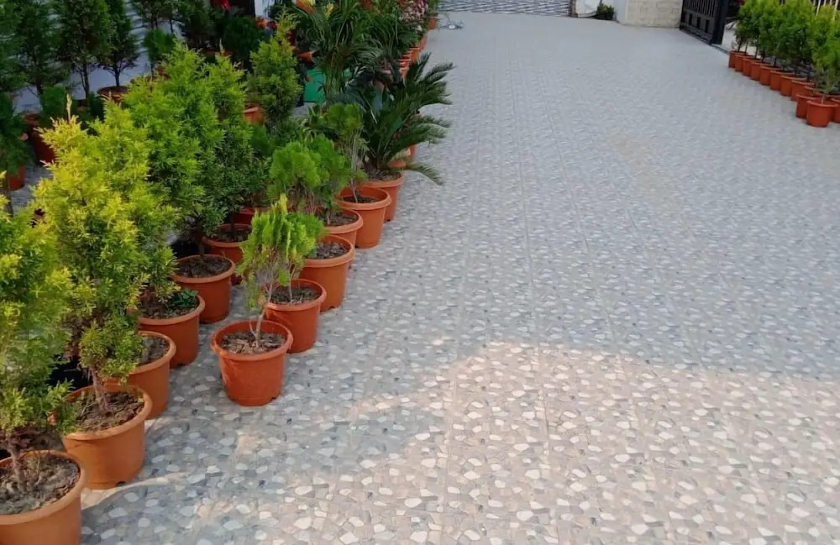 Hotel Dayal International