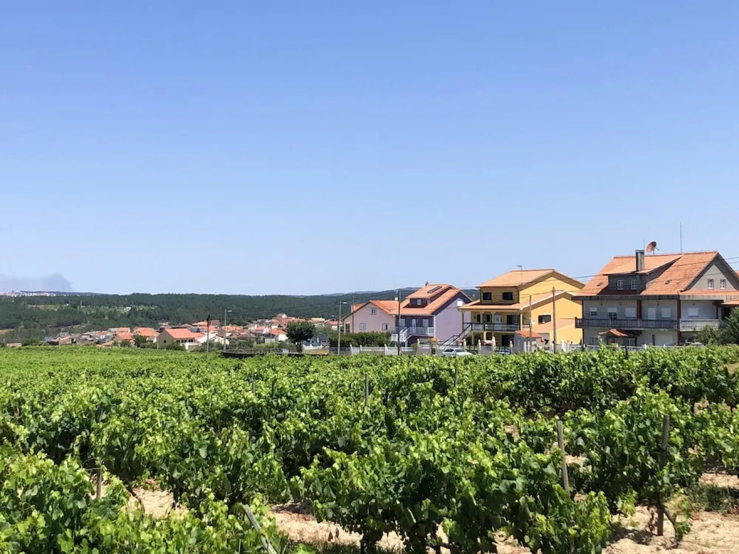 House With 4 Bedrooms in Cortiçada, With Wonderful Mountain View, Enclosed Garden and Wifi Near the Slopes