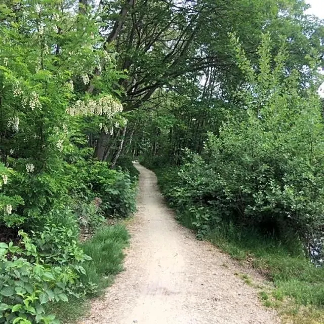 Auxiliumwellness Get Back To Serenity