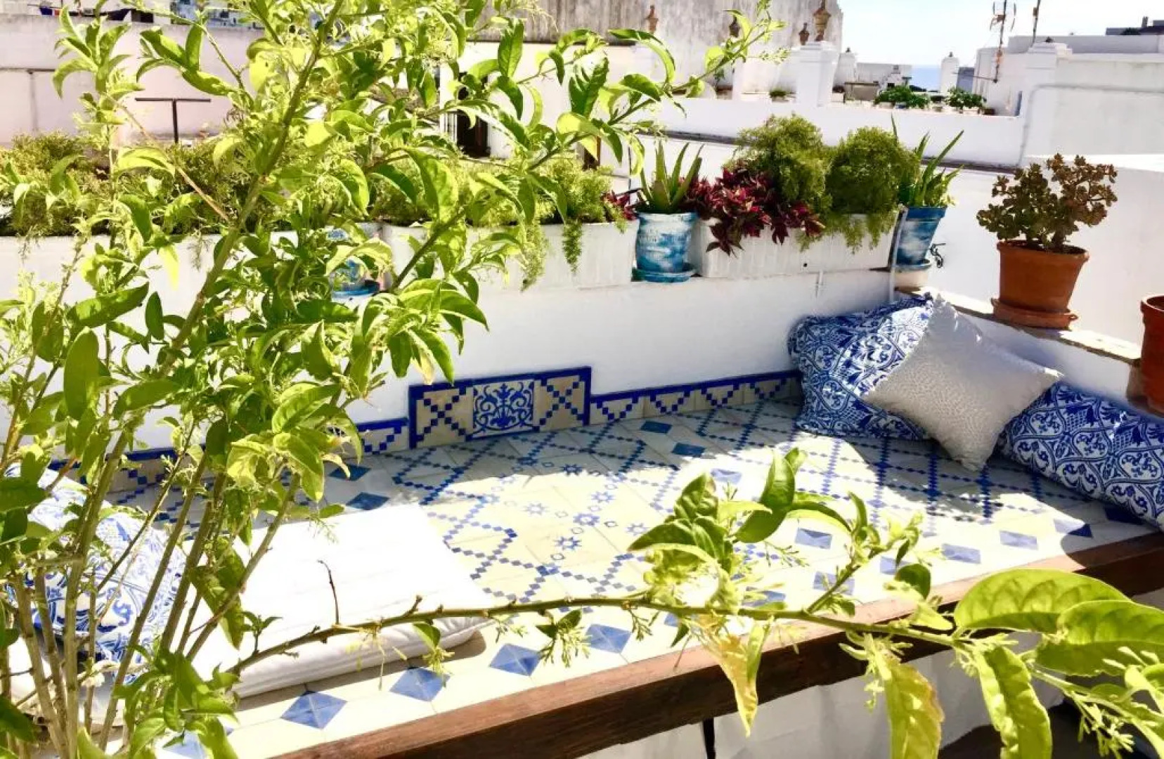 Casa del Artista Casas Vejer Debra