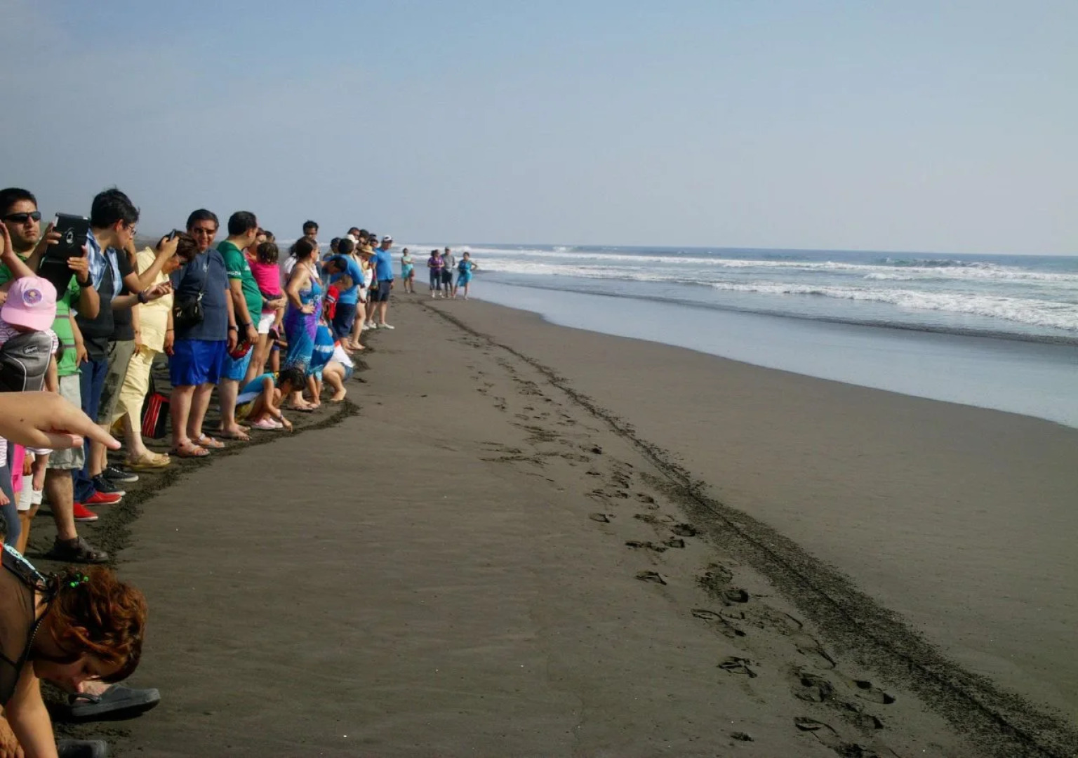 Concierge Plaza Colima