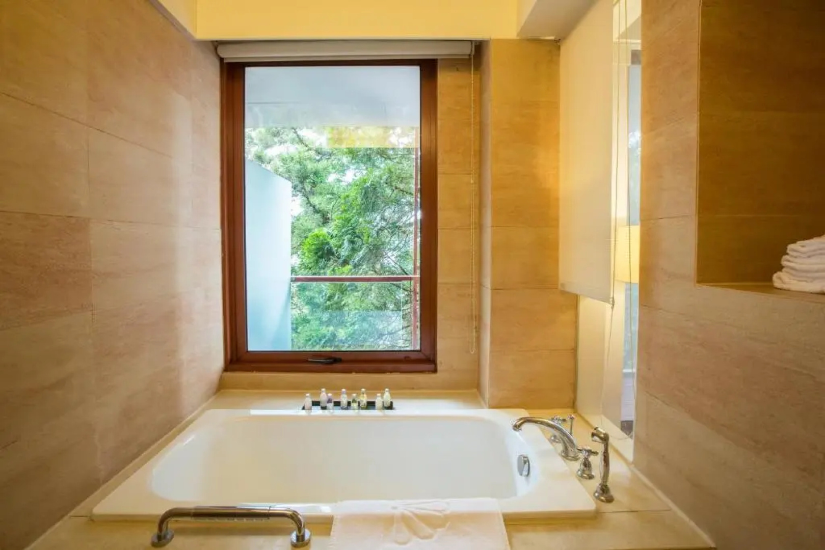 Alishan Hotel