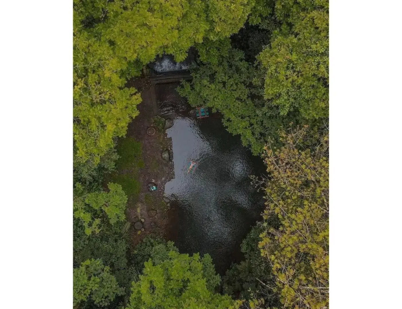 Hotel del Bosque Costa Rica