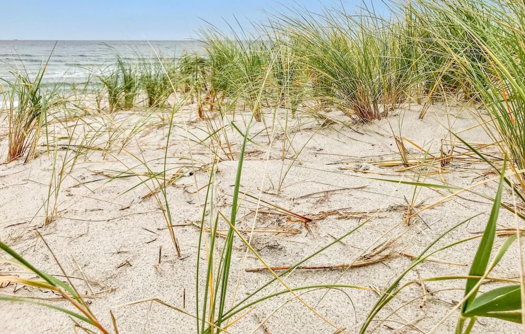 Amazing Apartment in Graal Müritz With Wifi and 1 Bedrooms