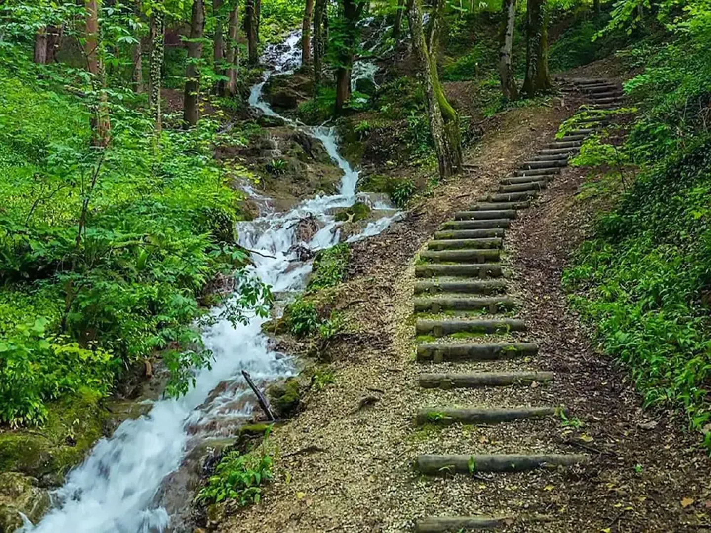 Premium Apartment With Bubble Bath