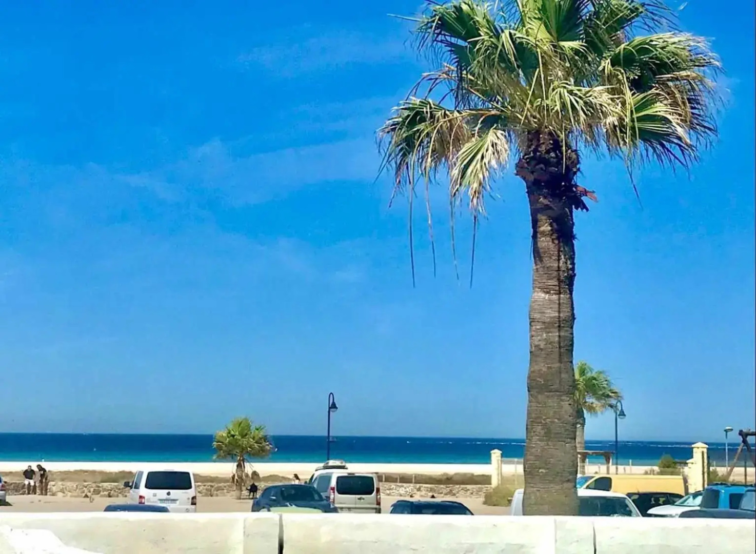 Apartamento F1 Urb Las Cañas