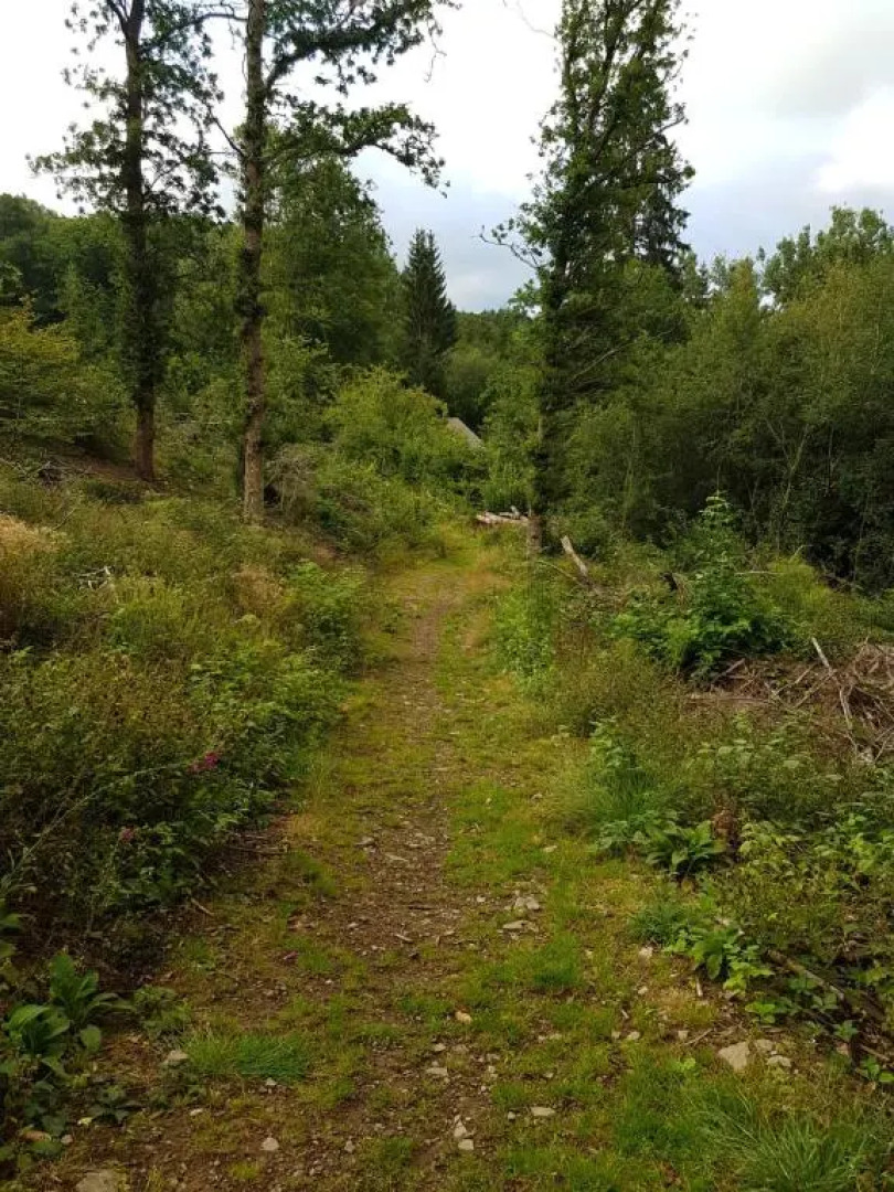 La petite romantique