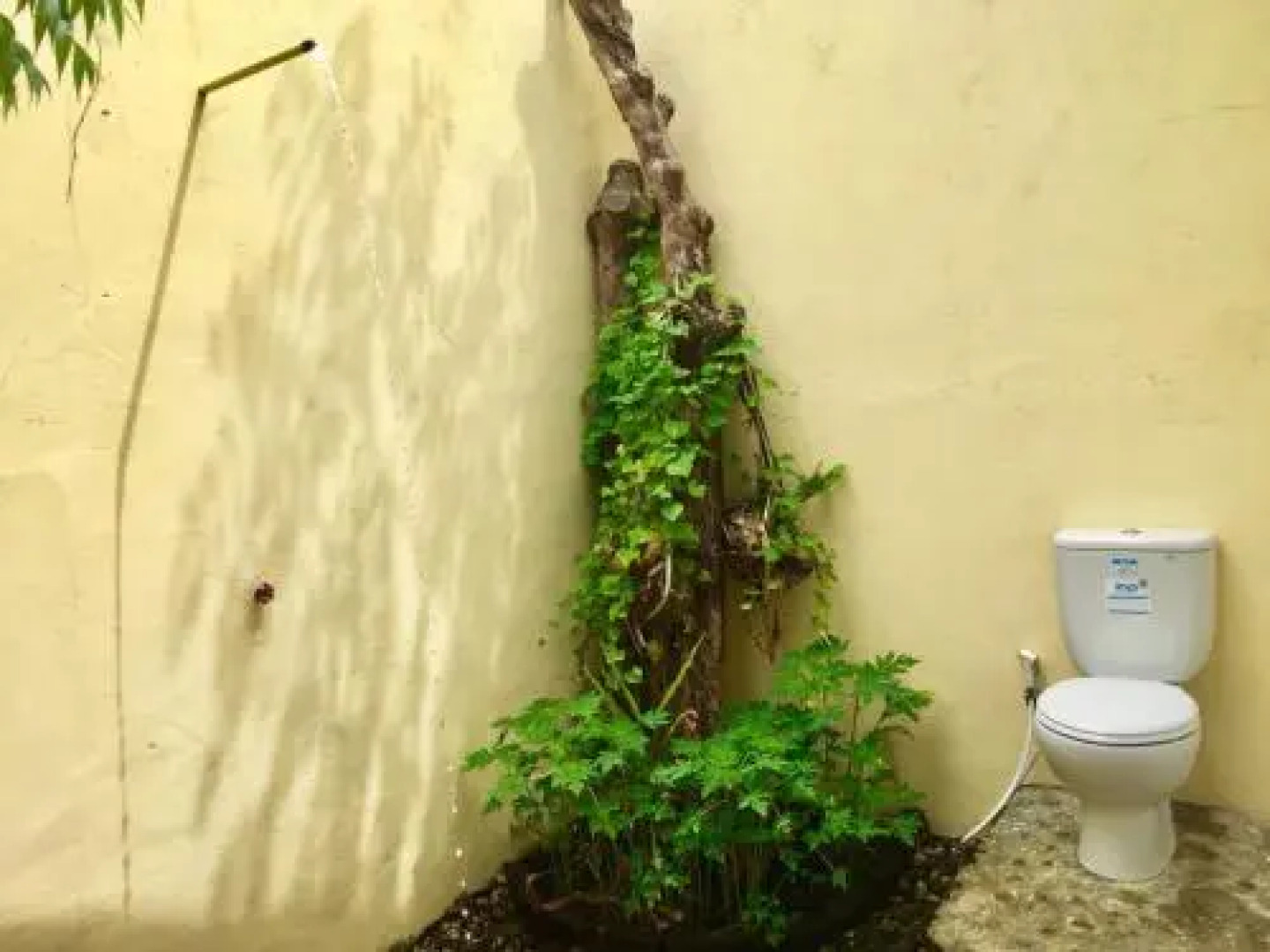 Pantai Paris Homestay