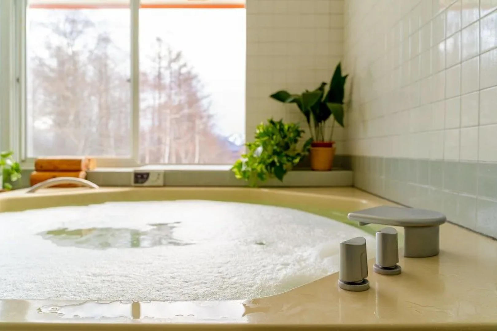 Canopy Cortina Lodge