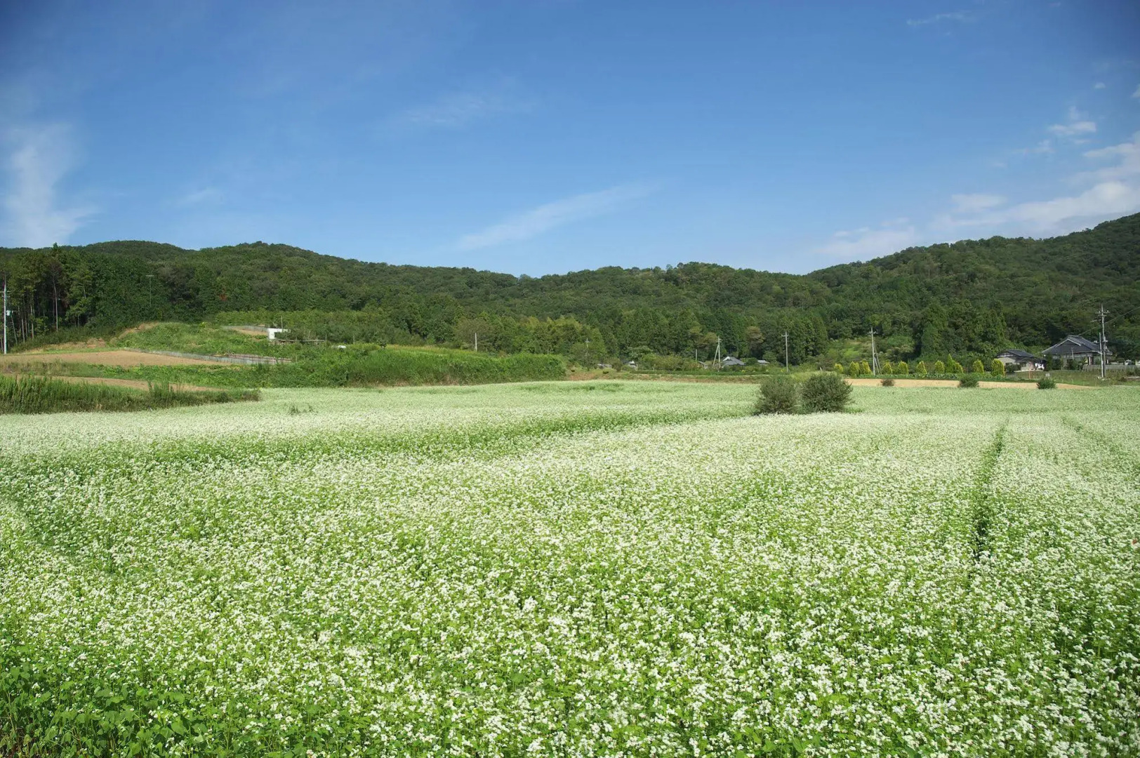 Mashikokan Satoyama Resort Hotel