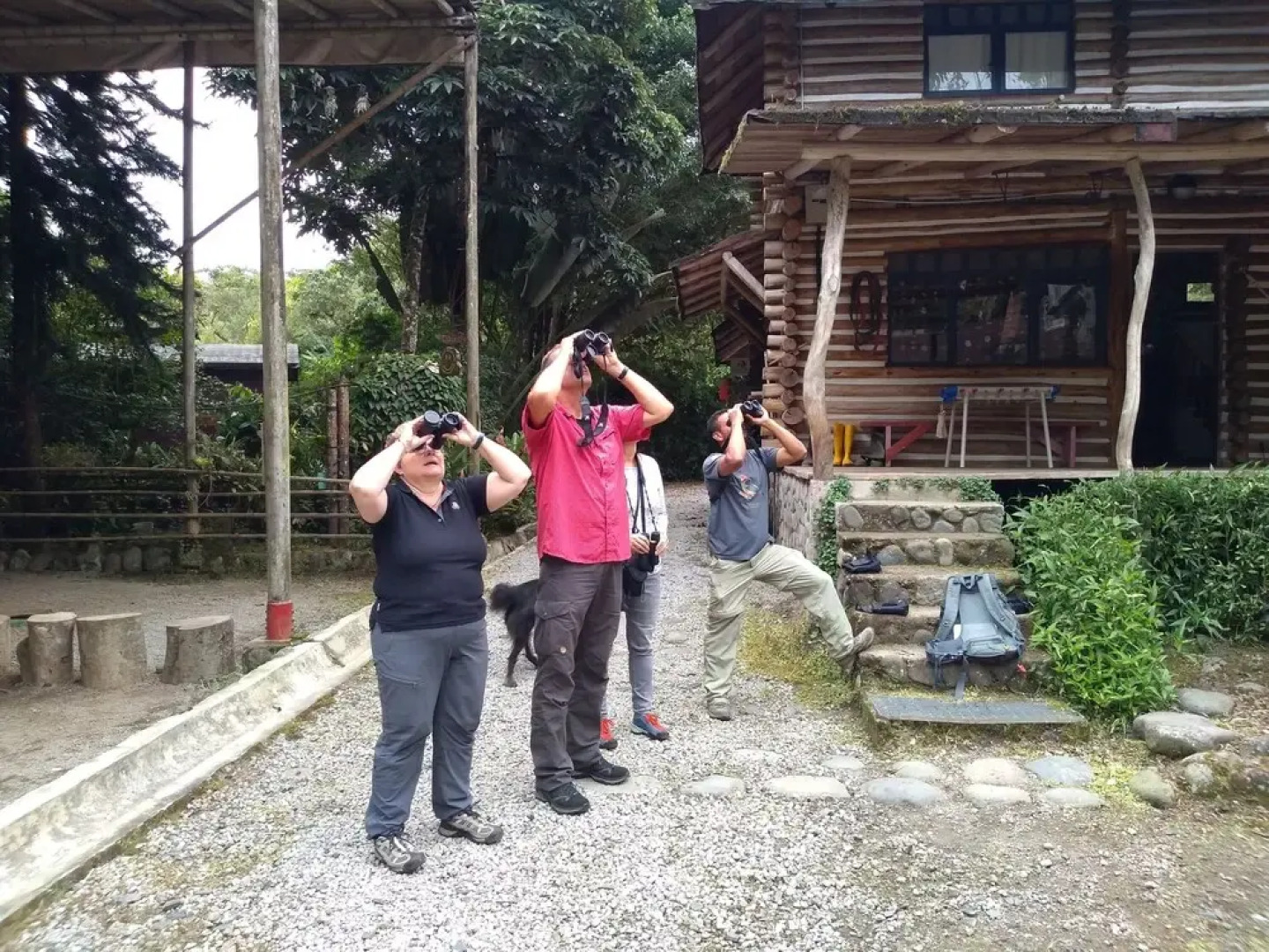 Hosteria La Roulotte Mindo