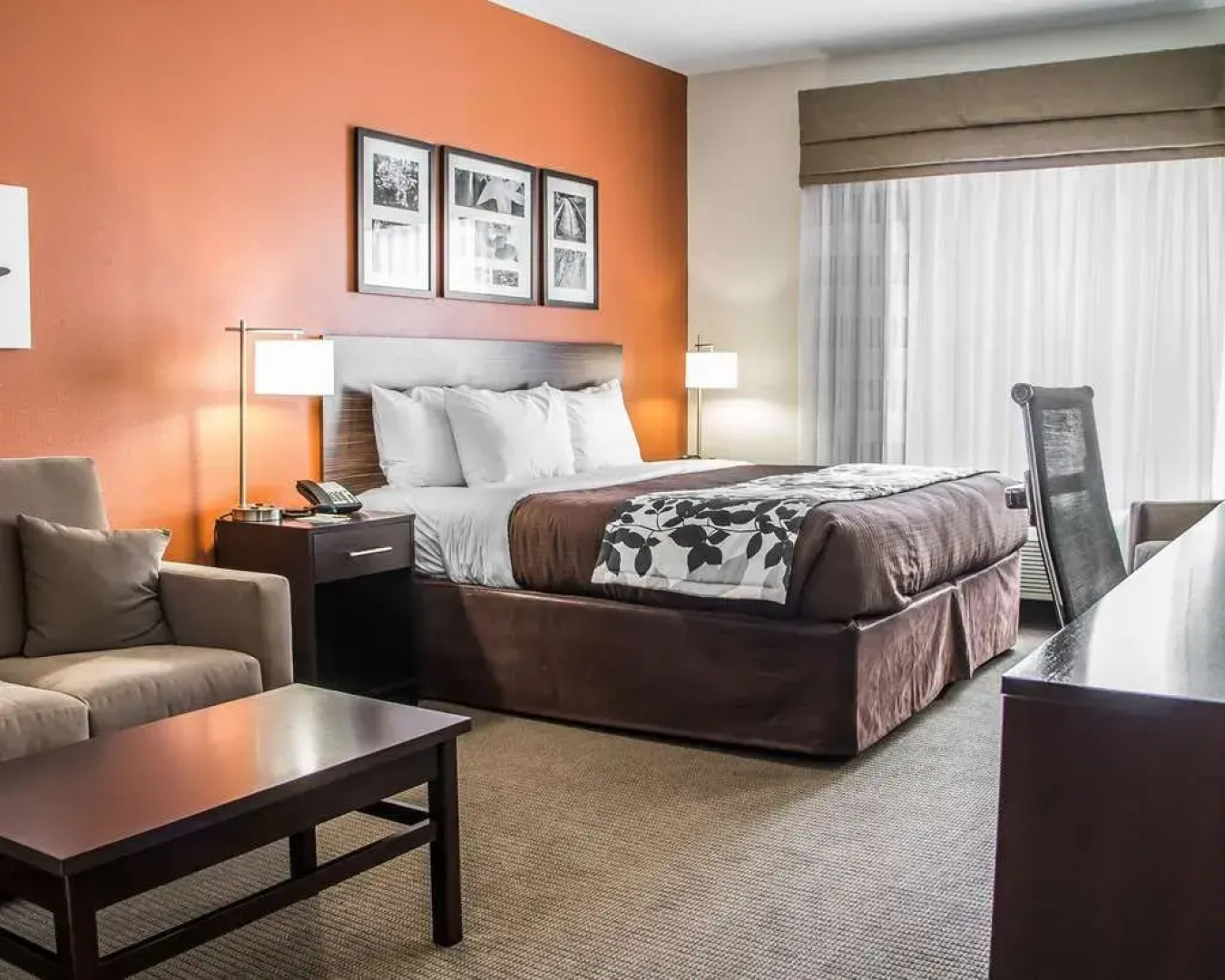 Sleep Inn & Suites