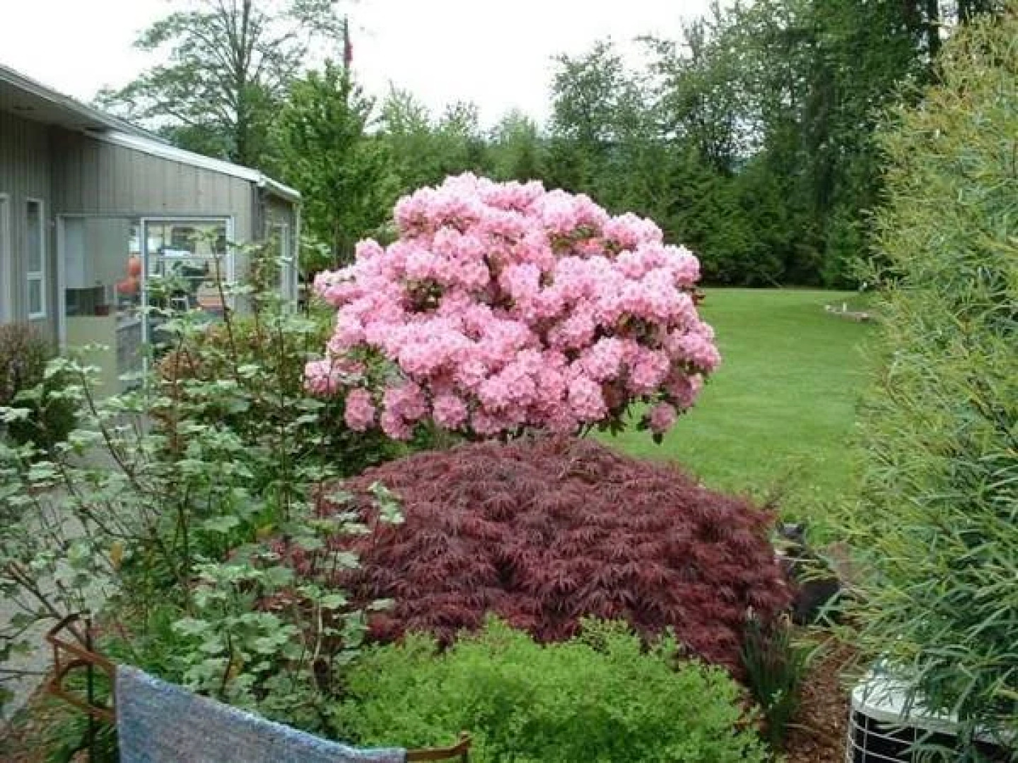 Hummingbird Guesthouse