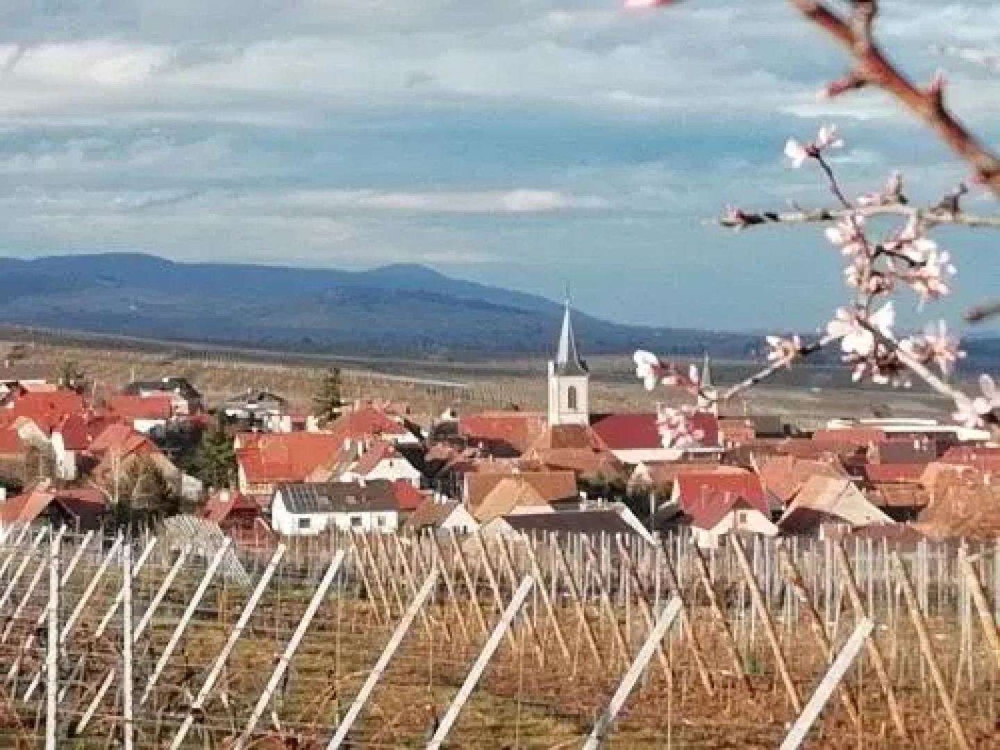 Gîtes Marschall Jean-Pierre