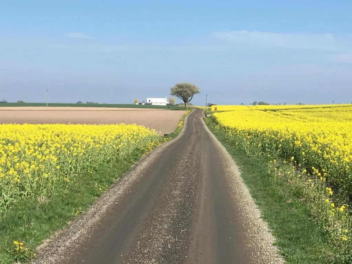 Wingårdhs B&B Österlen
