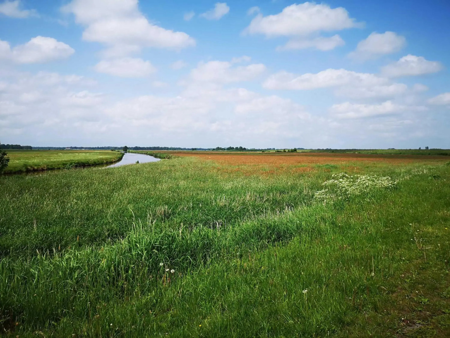 Ferienwohnung Rossbach, 95061