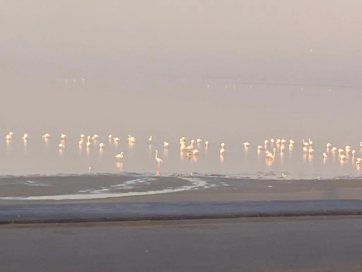 Lagoon View Self Catering