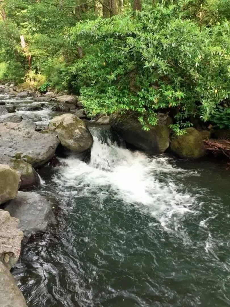 Guest House - Green Space