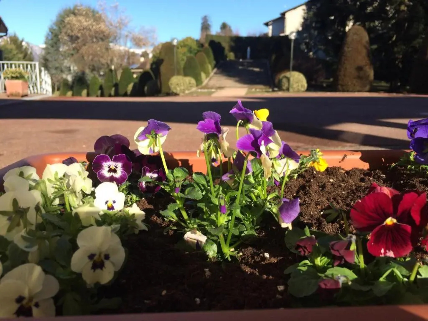 Centro di Spiritualità Maria Candida