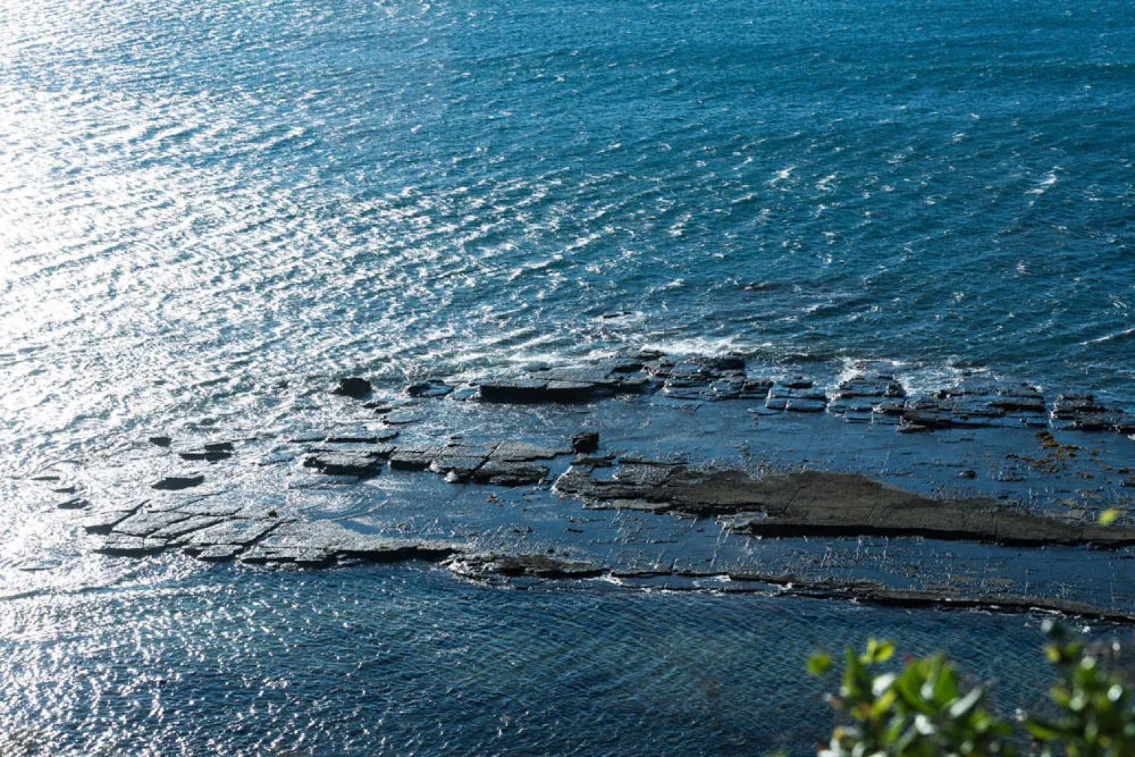 Birchgrove Apartments