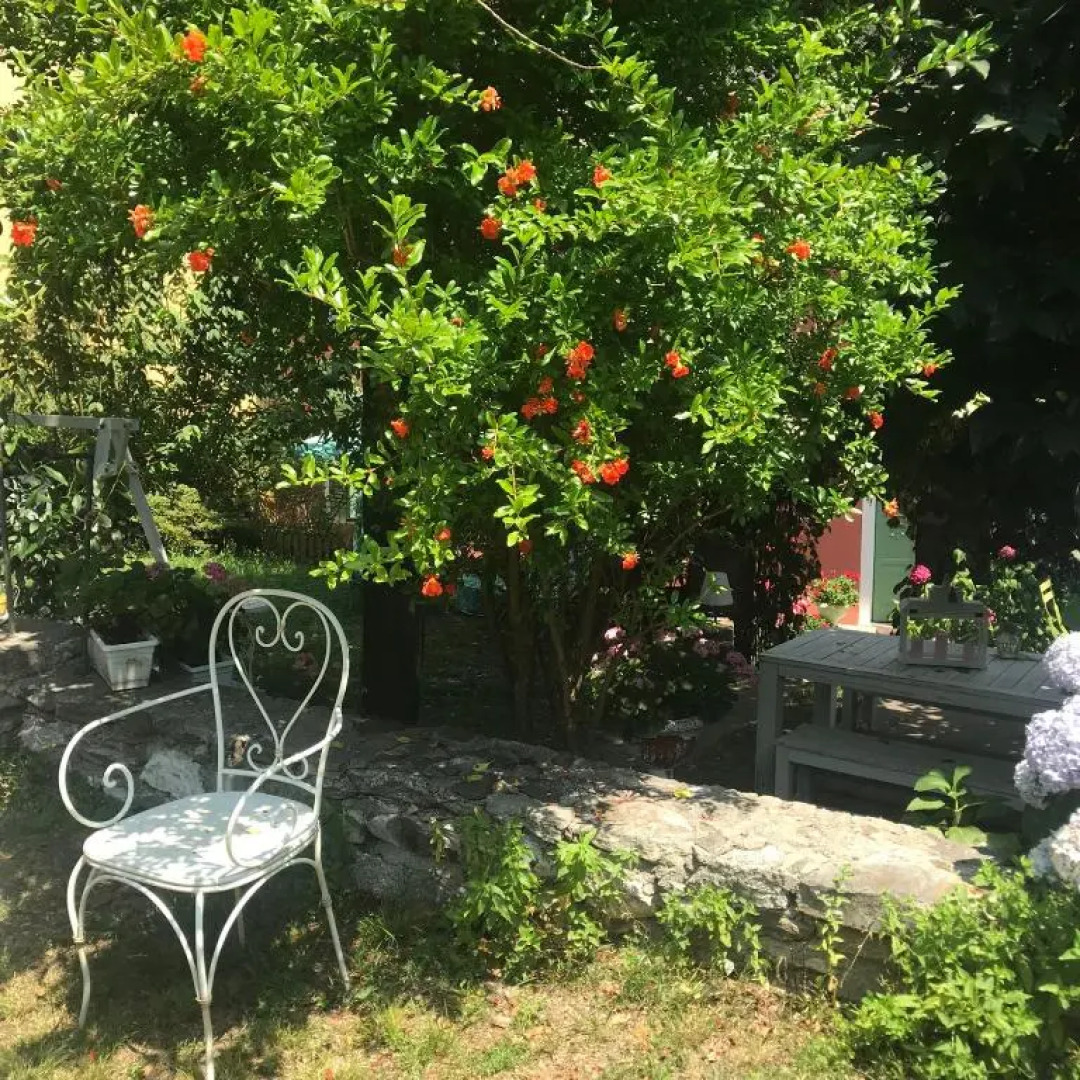 THE SECRET GARDEN ARONA VILLA in Piazza del Popolo 16 Historical Center