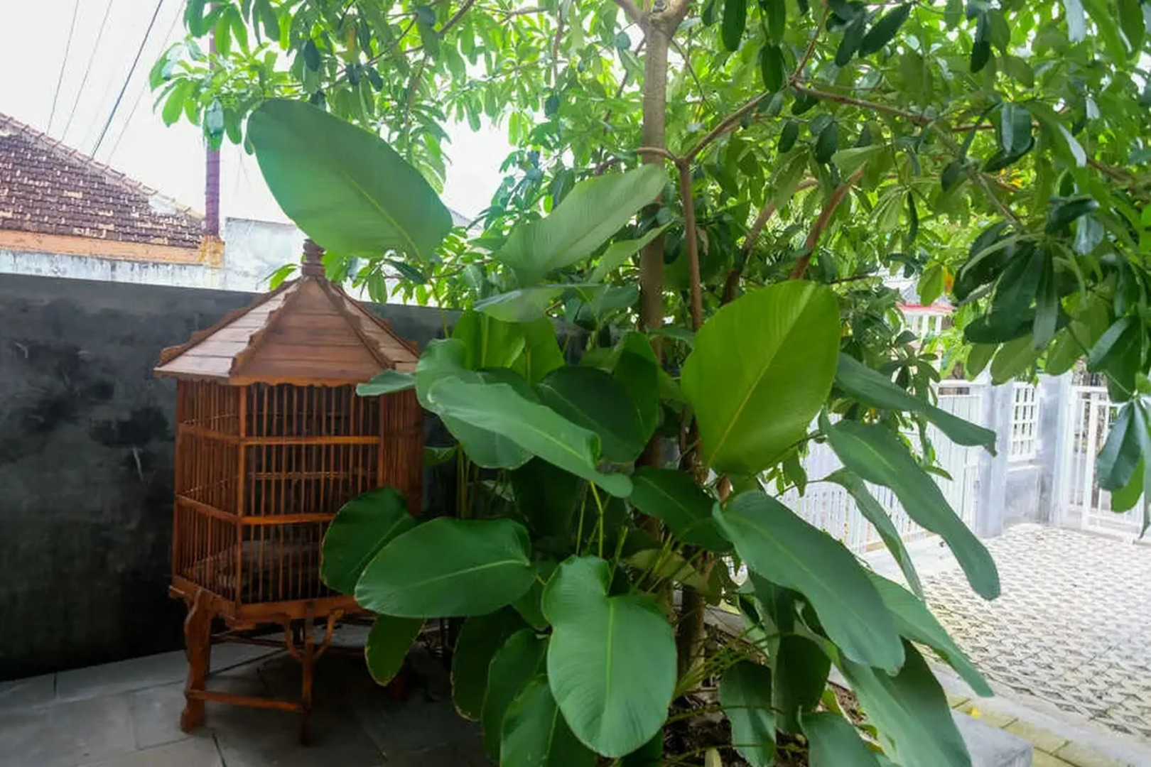 RedDoorz near Stadion Kridosono Blora