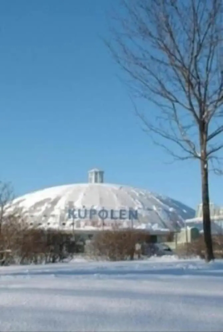 Hotel Kupolen