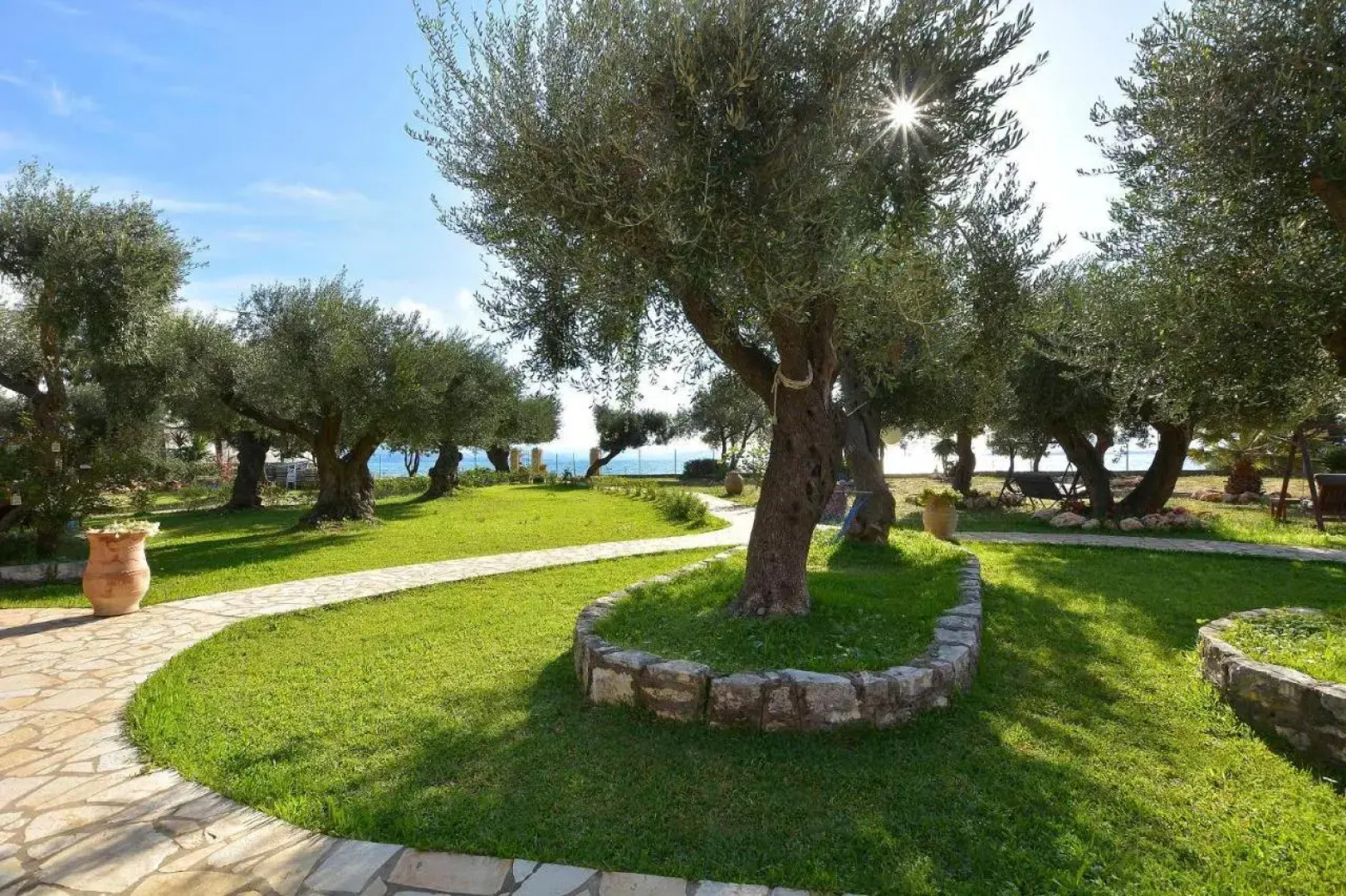 Renata Rooms & Studios