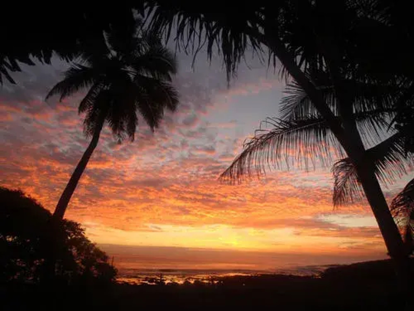 Tanna Ikamir Bungalows and Accomodations