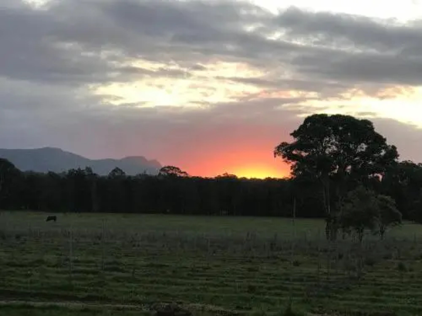 Lovedale Red Gum Cottage