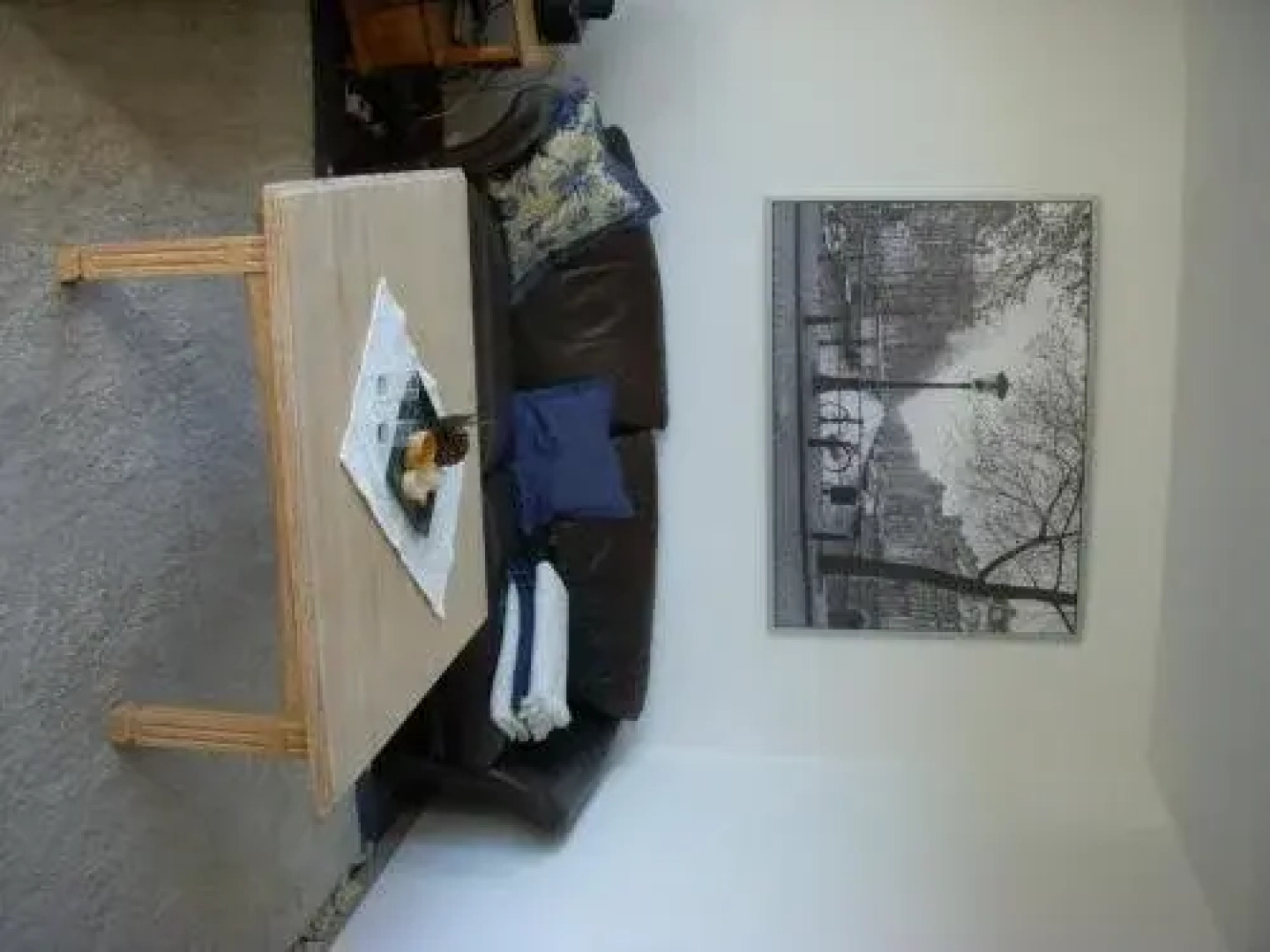 Wohnpark Schwarzwaldblick