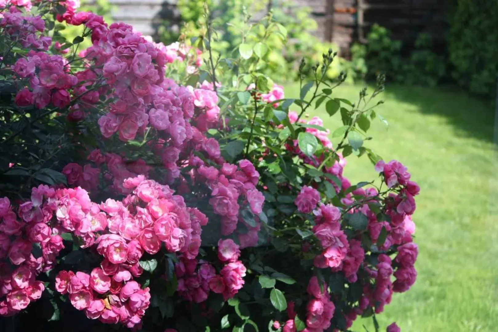 Haus zum Wohlfühlen