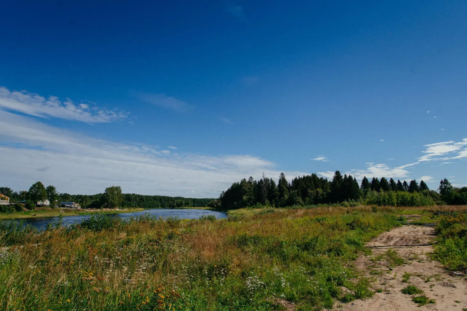 Сова Шуйский Залив