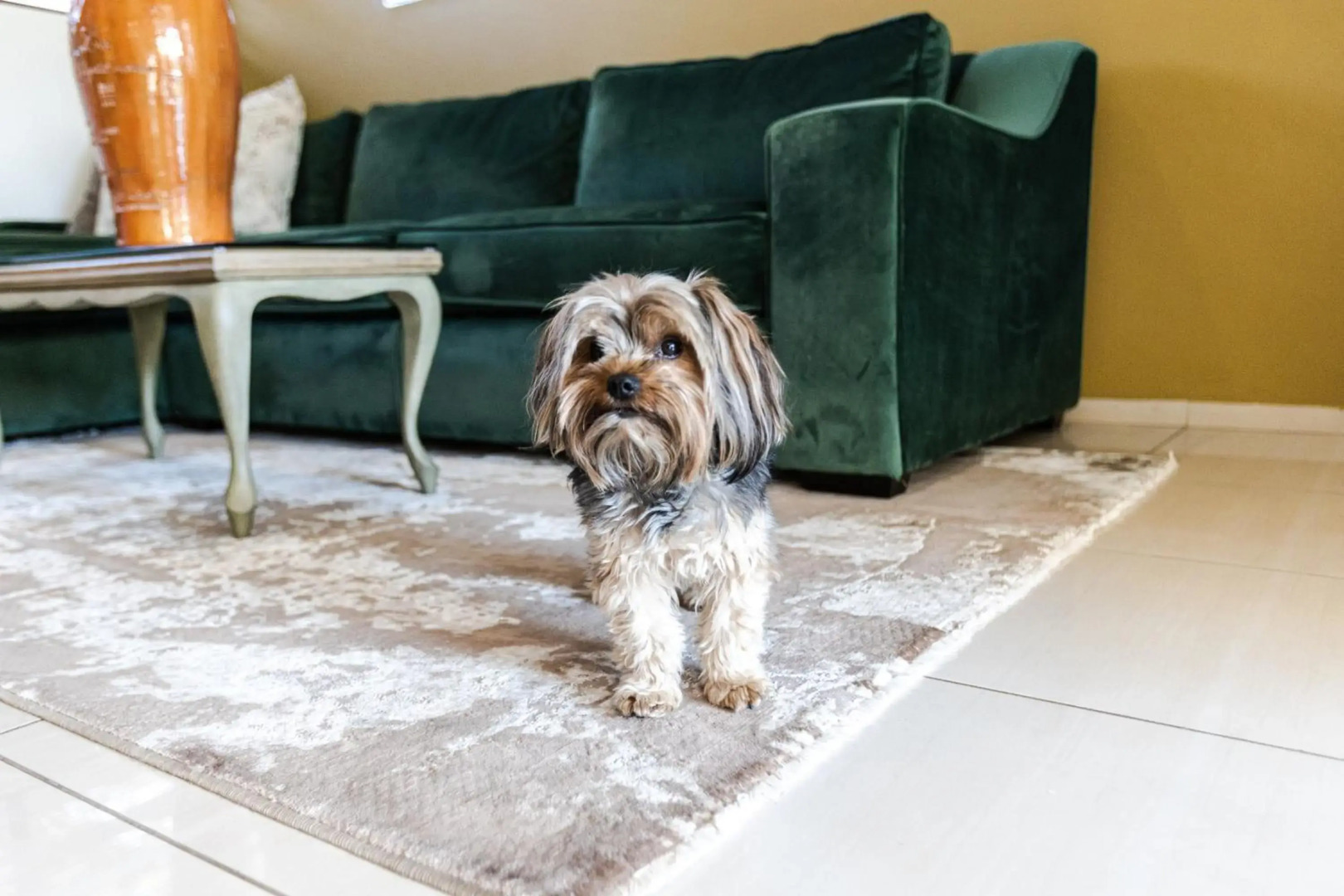 Fleur de Lis Guesthouse