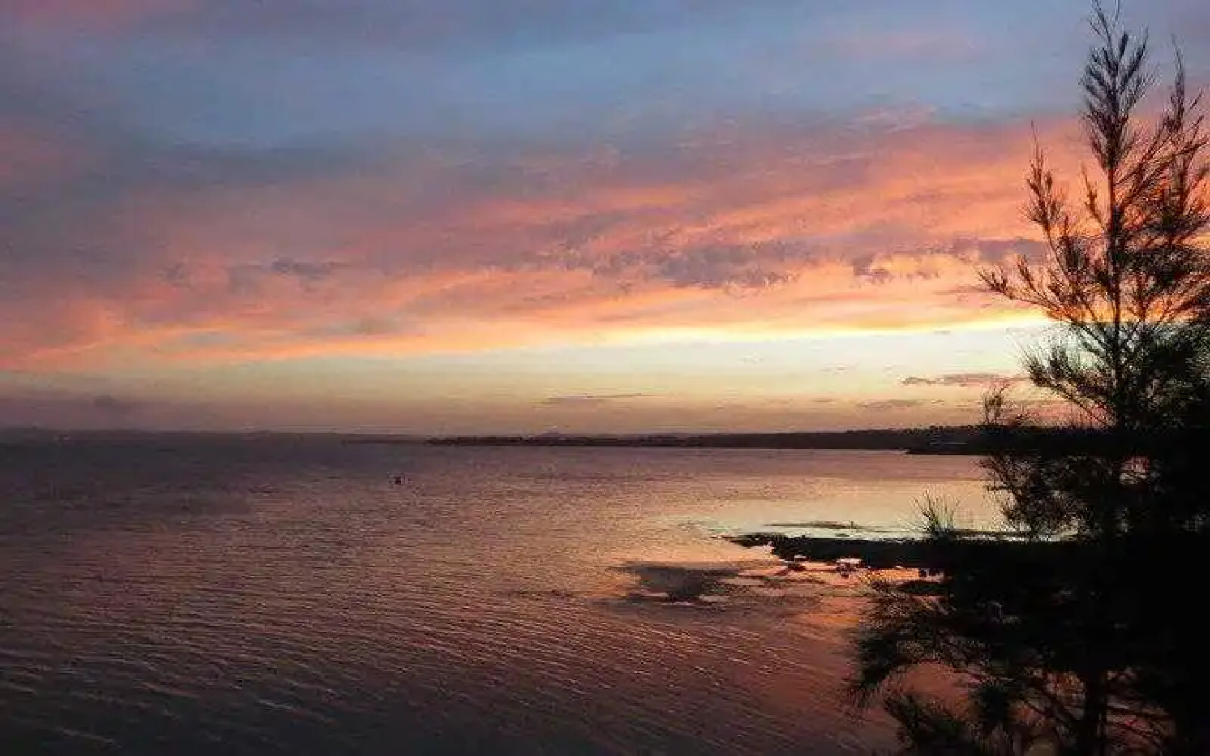 Best Western Bridge View Motel