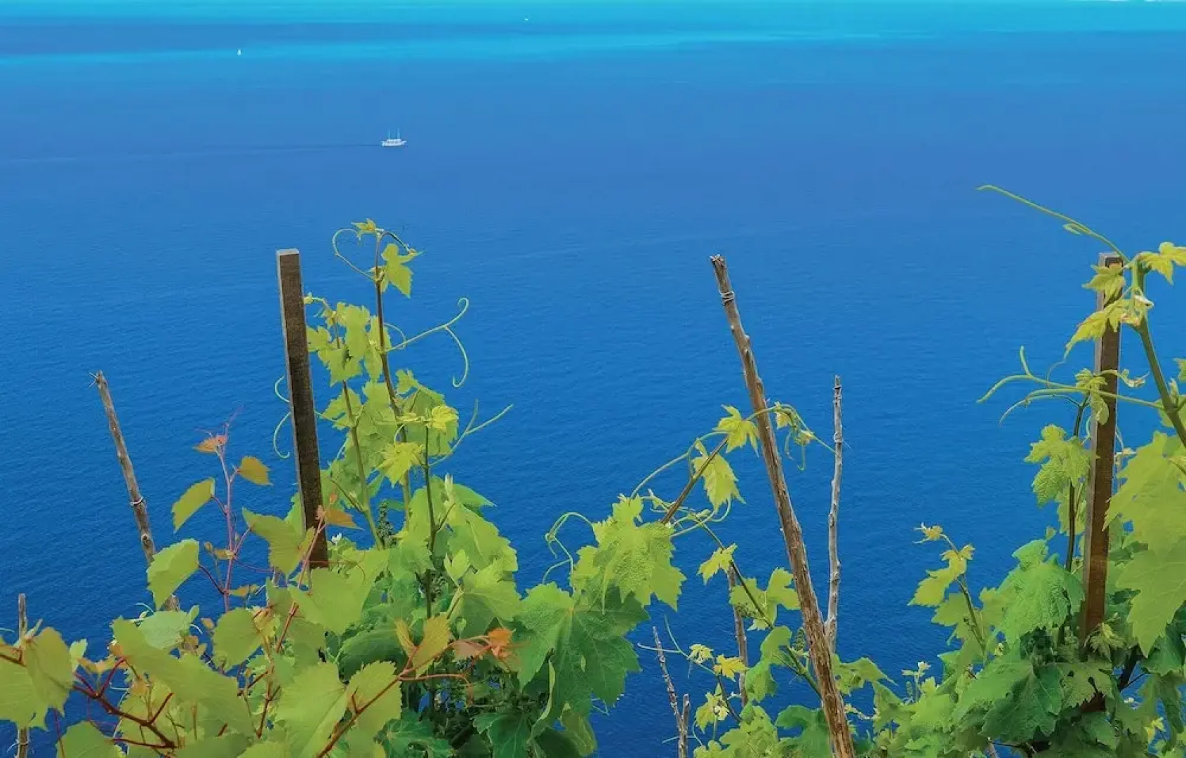 Amazing Home in Orebic With Wifi and 3 Bedrooms