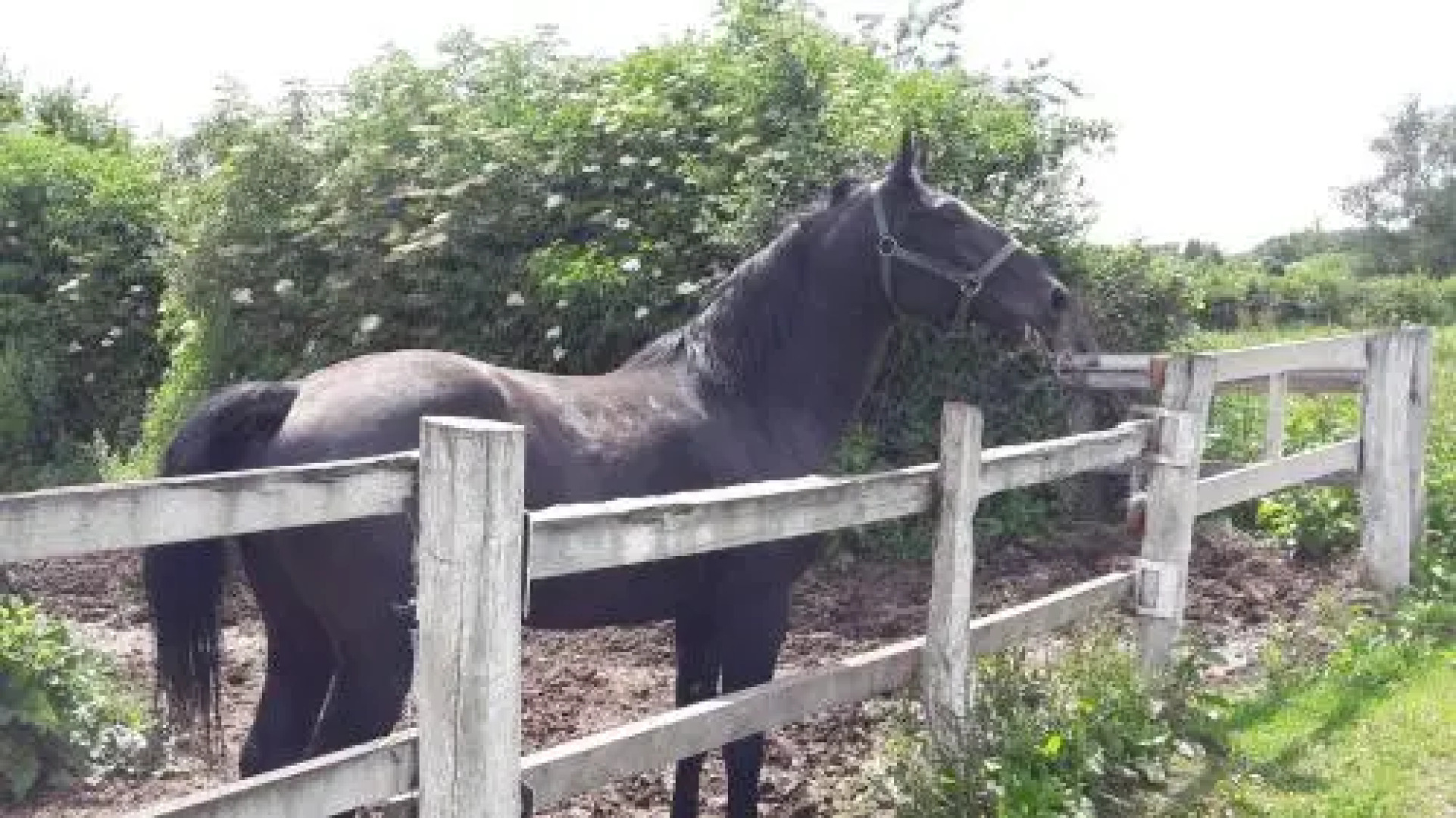 Guest House Kerekovic