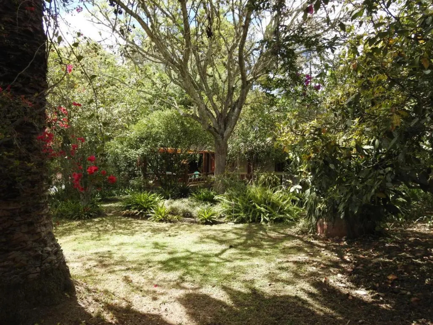 Hosteria Museart Pantavi