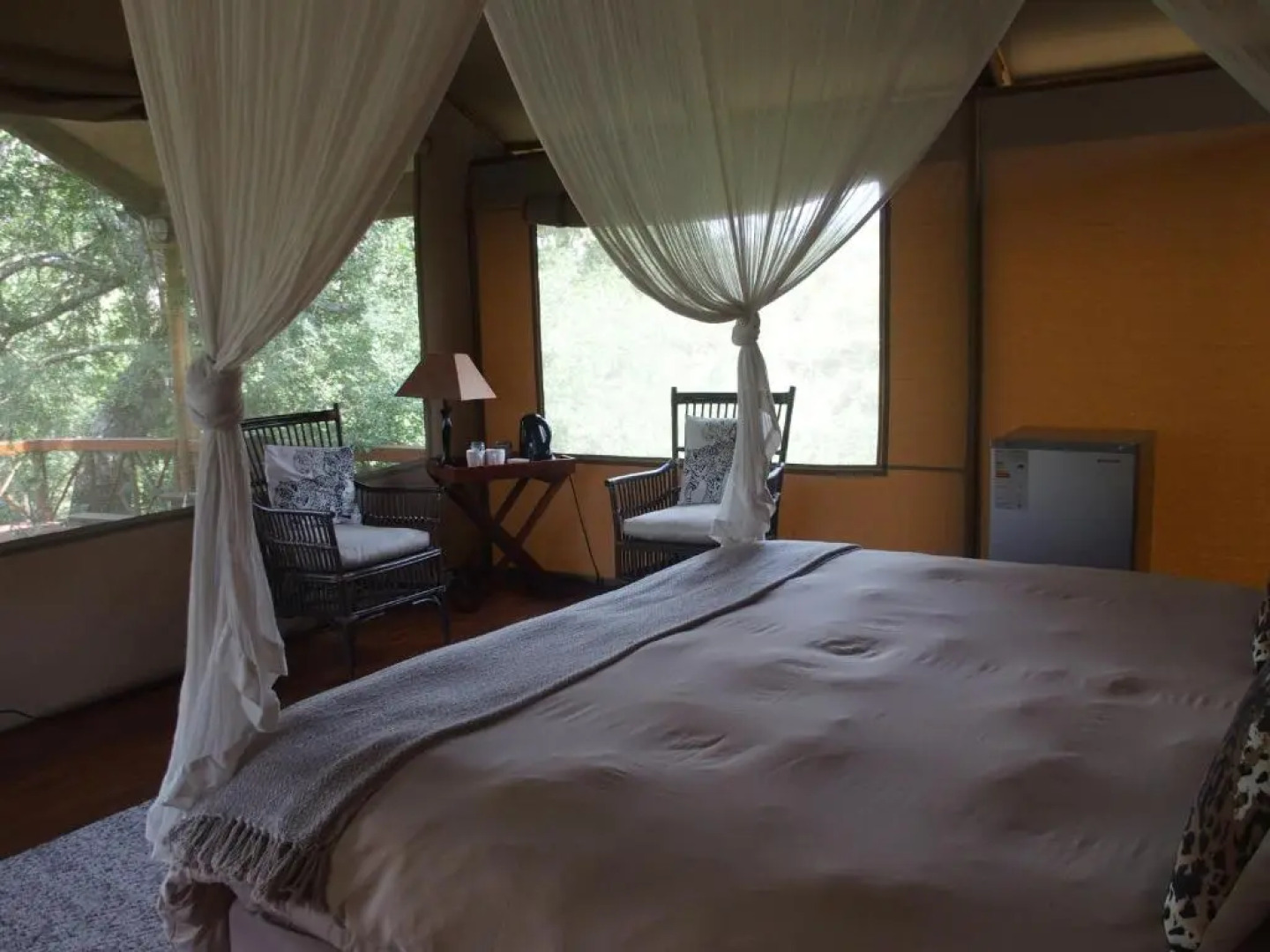 Lion Tree Top Lodge