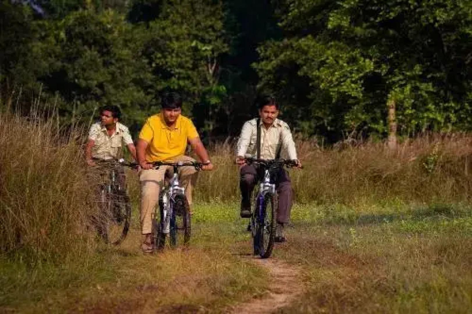 Singinawa Jungle Lodge Kanha