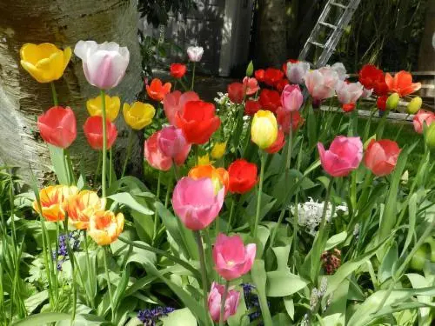 Serenity Bed and Breakfast