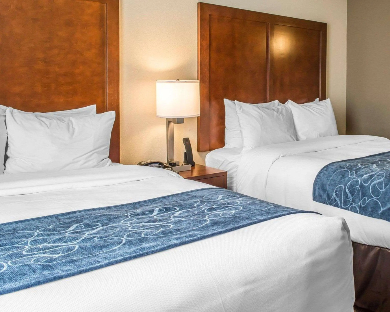 Comfort Suites Near Potomac Mills