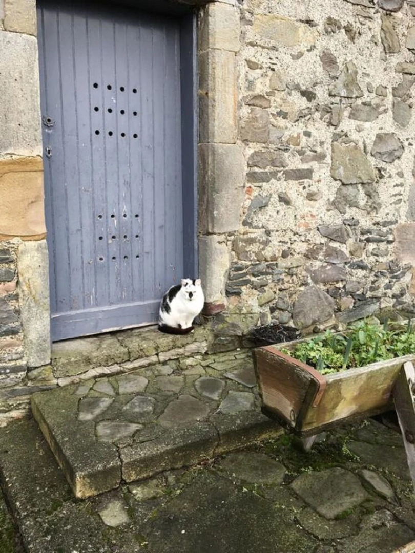 Winkston Courtyard Cottages