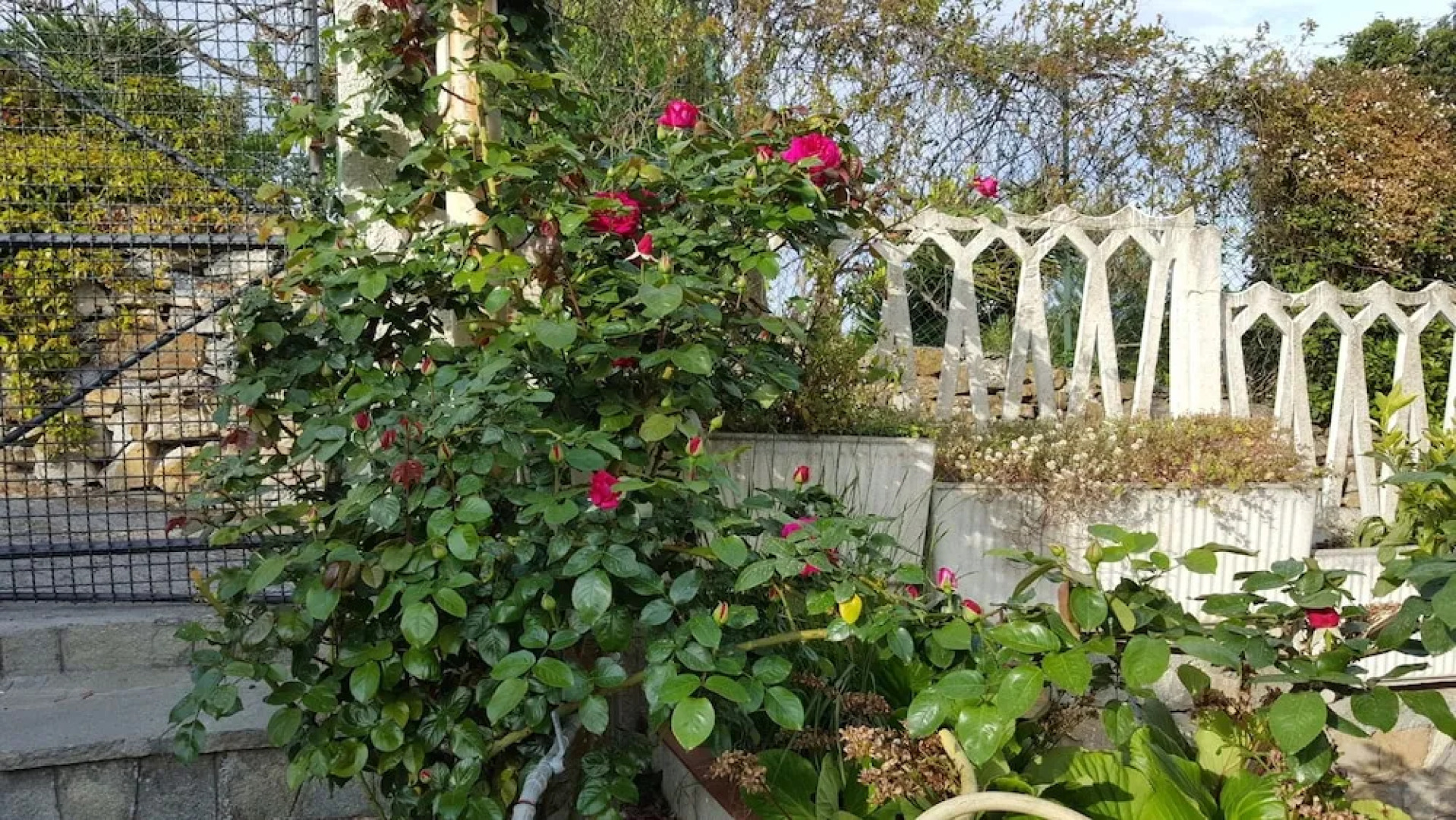 B&B Ethnohotel Rosa Dei Venti