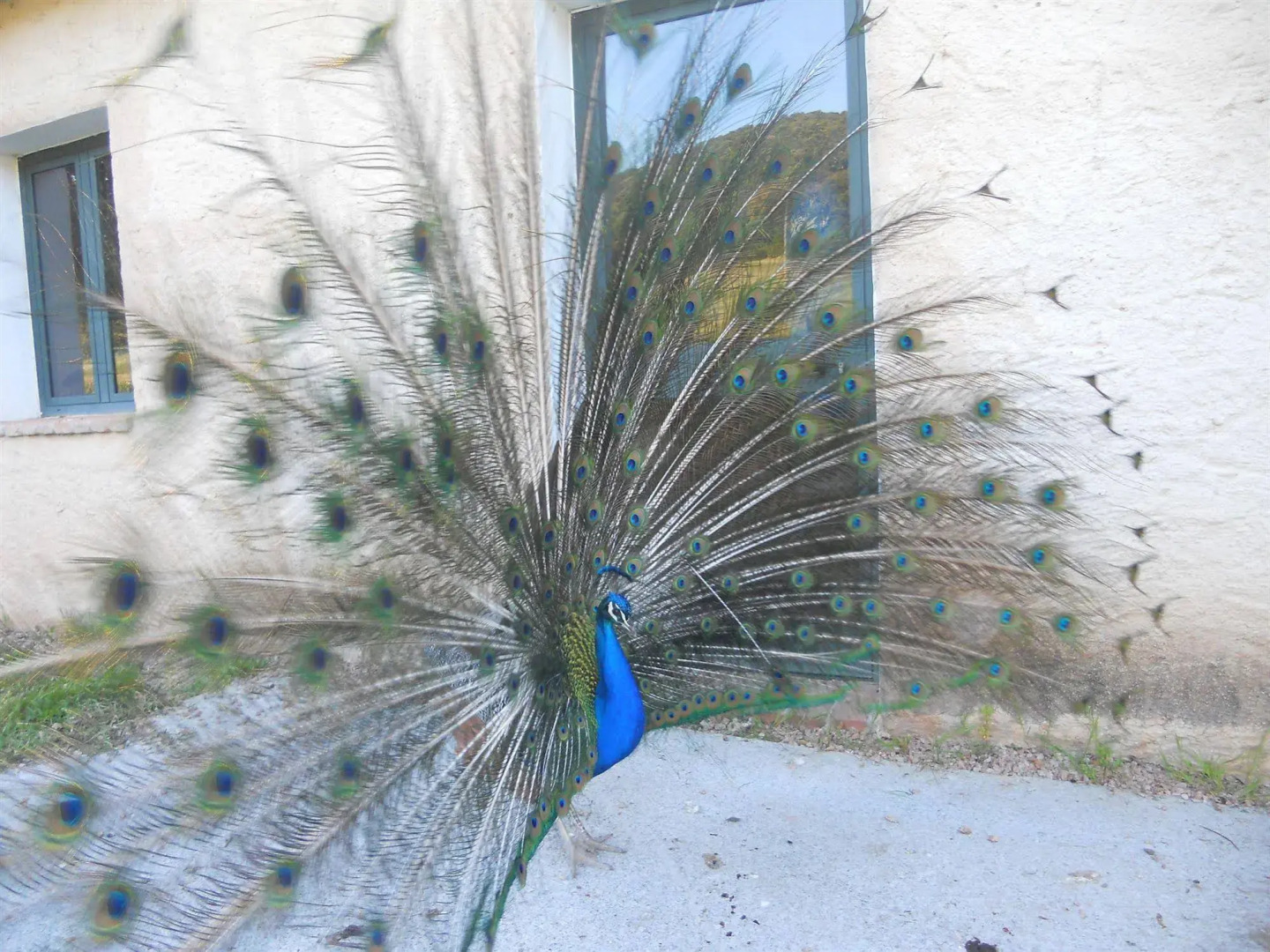 Hotel Glamping Borgo di Campagna