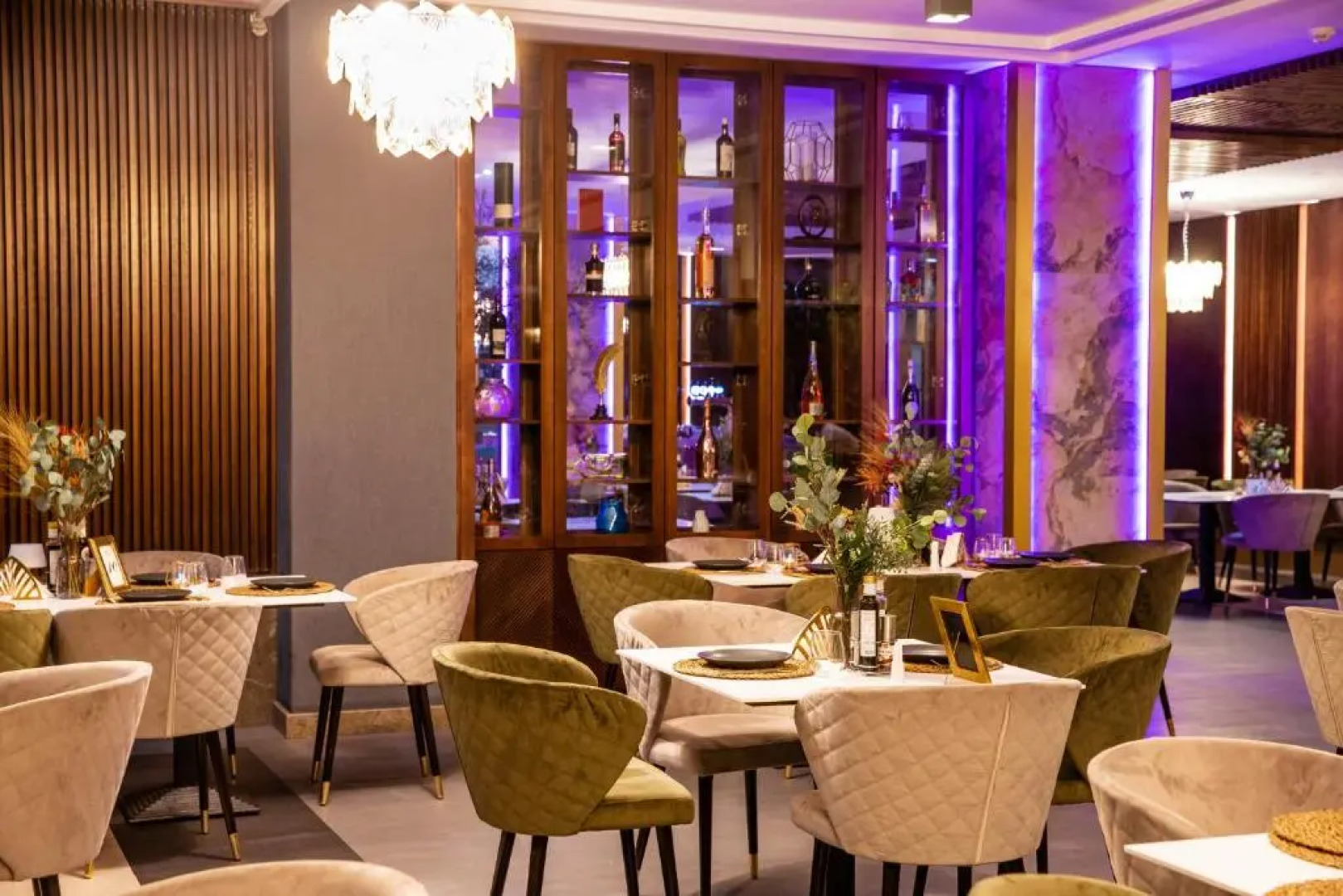 Elexus Poiana Brasov